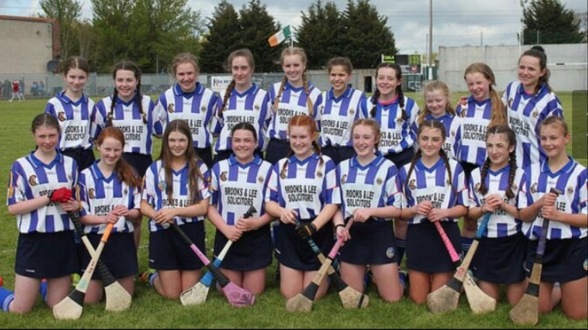 Camogie Feile Report