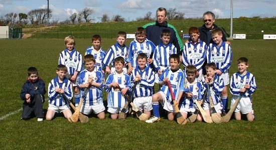 Hurling 2006