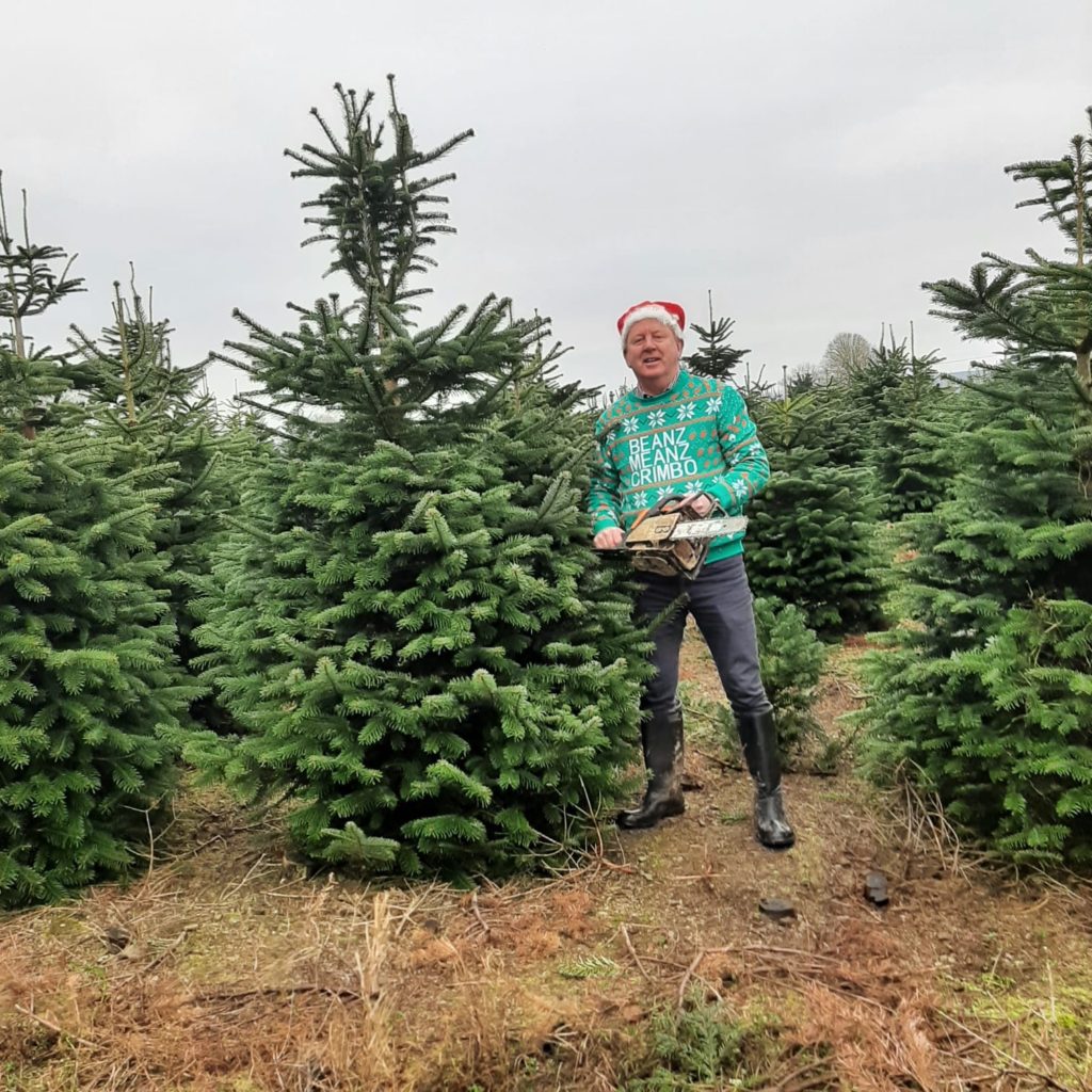 Boden Christmas Trees