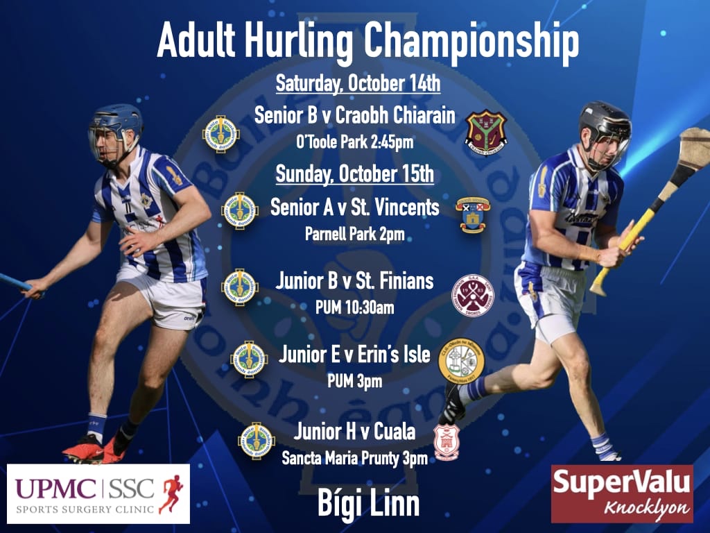 Hurling Chairman’s County Semi-Finals Preview