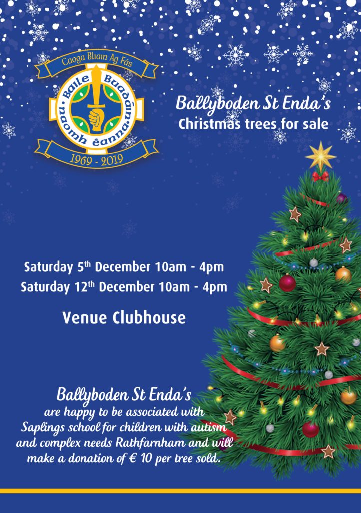 Christmas Trees in Boden this Saturday