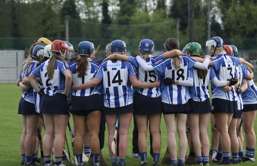 Senior A Camogie Fall in the Penultimate League Cup Match