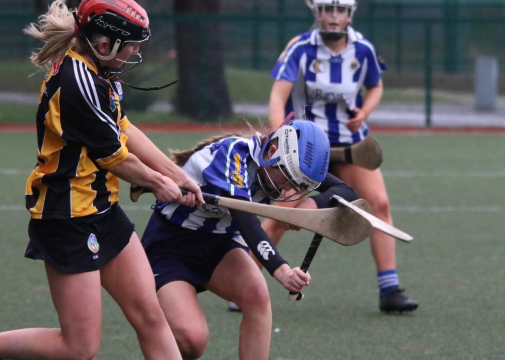 Senior B Camogie compete in Leinster League and Inter Cup
