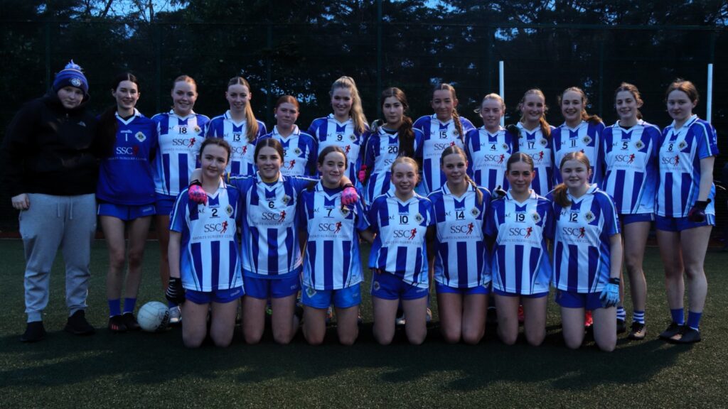 Minor A ladies football lose out in Rd2 of the league