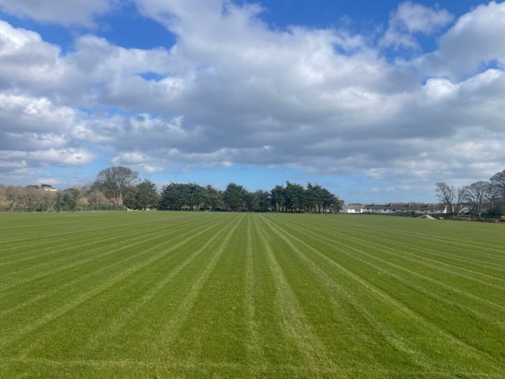 Pitch Update