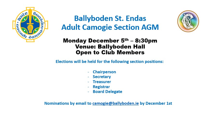 Adult Camogie Section AGM 2022
