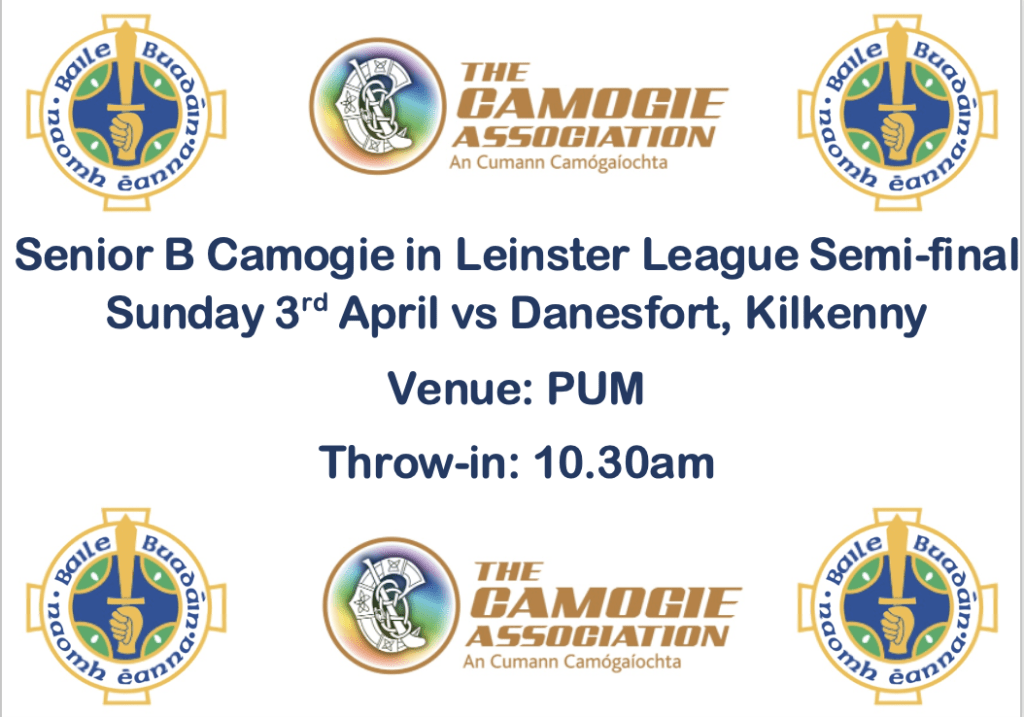 Senior B Camogie Leinster League Semi-final