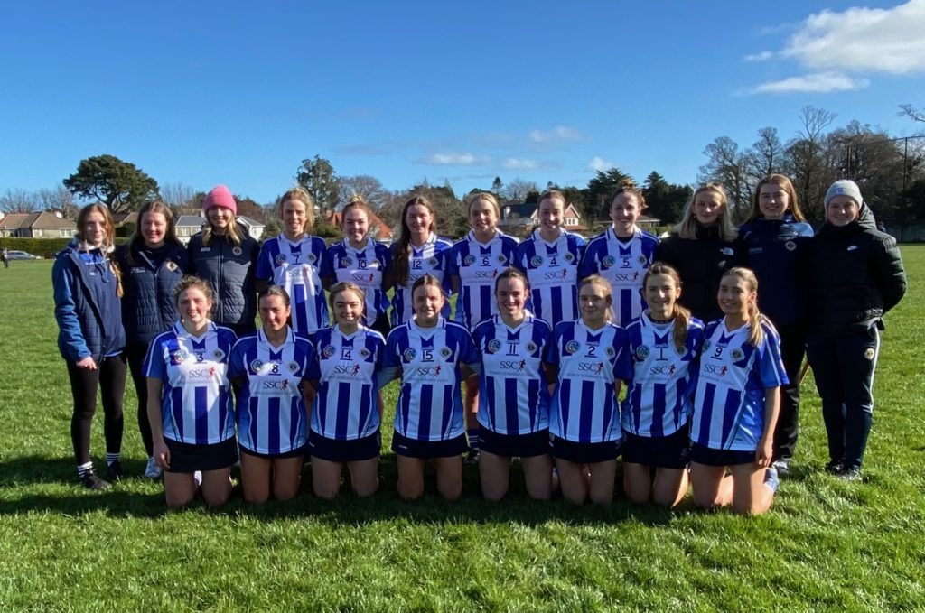 Senior A Camogie back in action