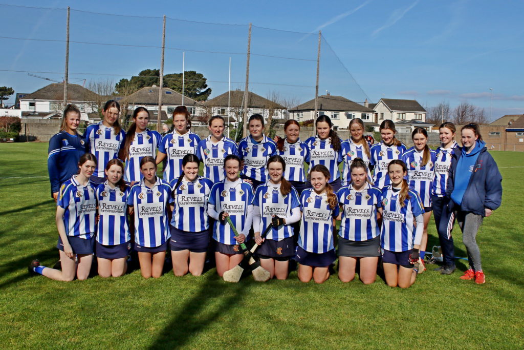 Senior B Camogie Fall to Whitehall Colmcilles