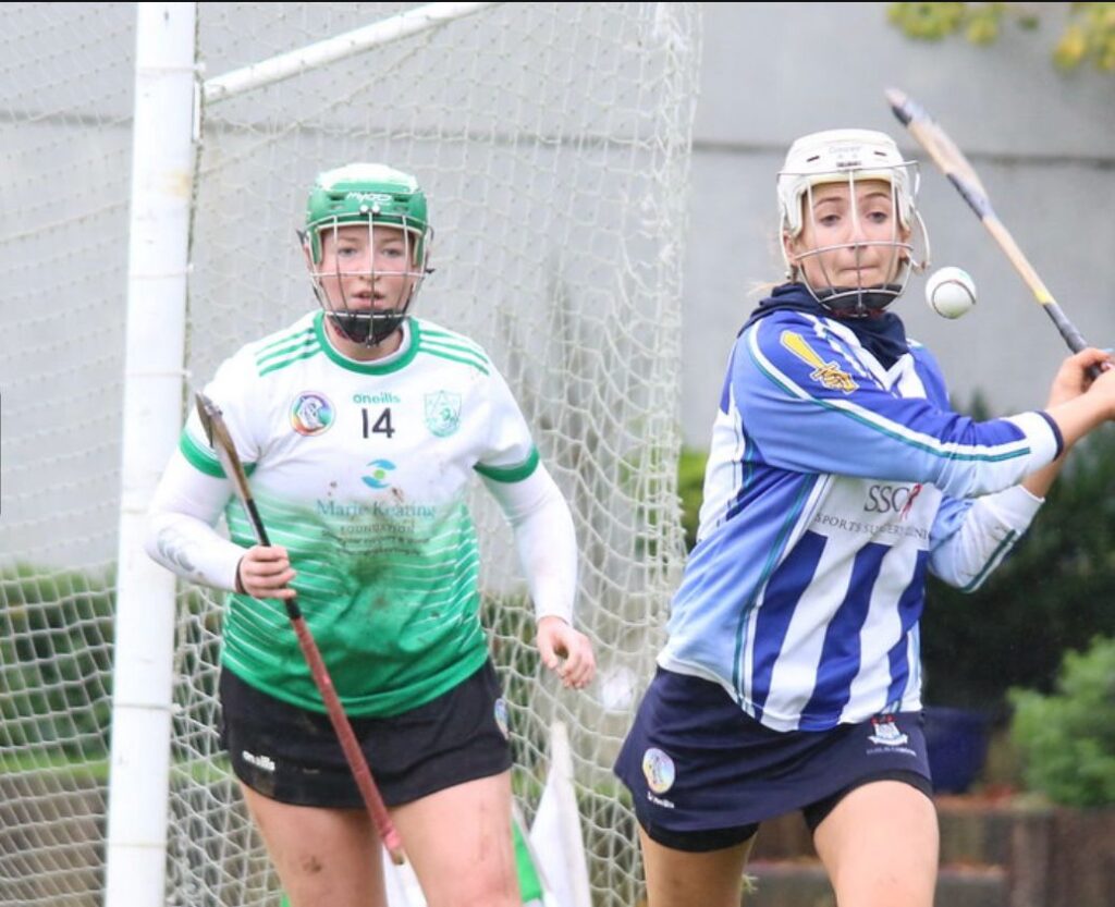 U21A Camogie fall to Lucan on PUM