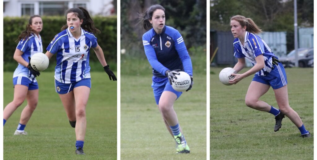 Senior A Ladies footballers on Cloud 9