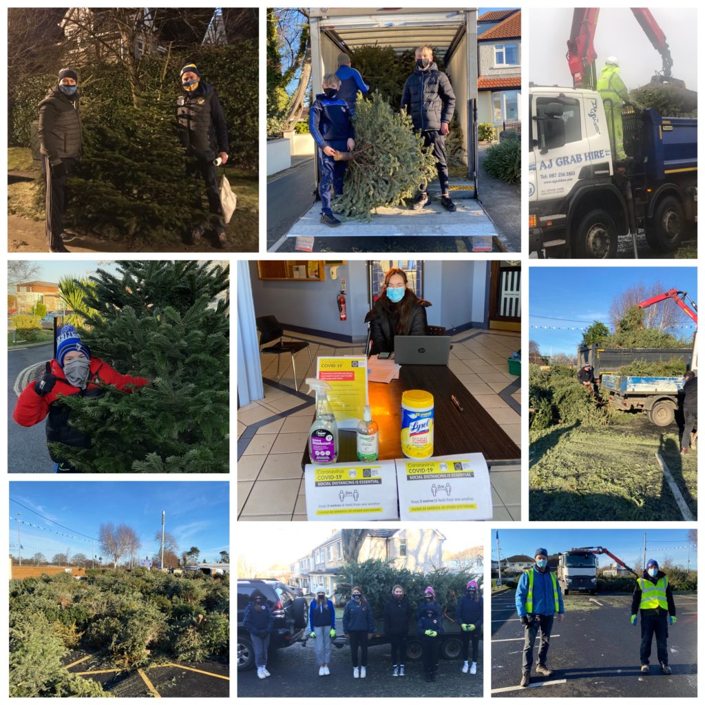 Christmas Tree Collection